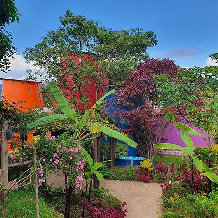 Chameleon Hill Forest Lodge Bwindi Impenetrable Park Exteriör bild