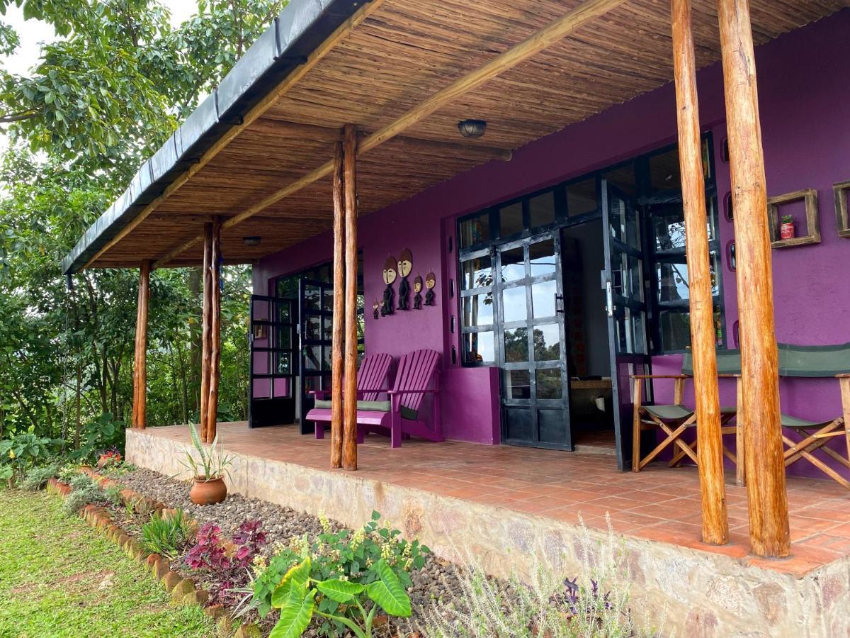 Chameleon Hill Forest Lodge Bwindi Impenetrable Park Exteriör bild