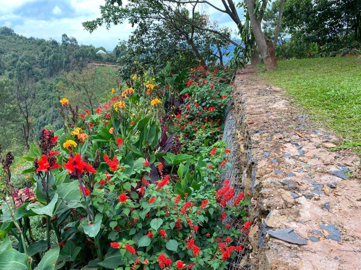 Chameleon Hill Forest Lodge Bwindi Impenetrable Park Exteriör bild
