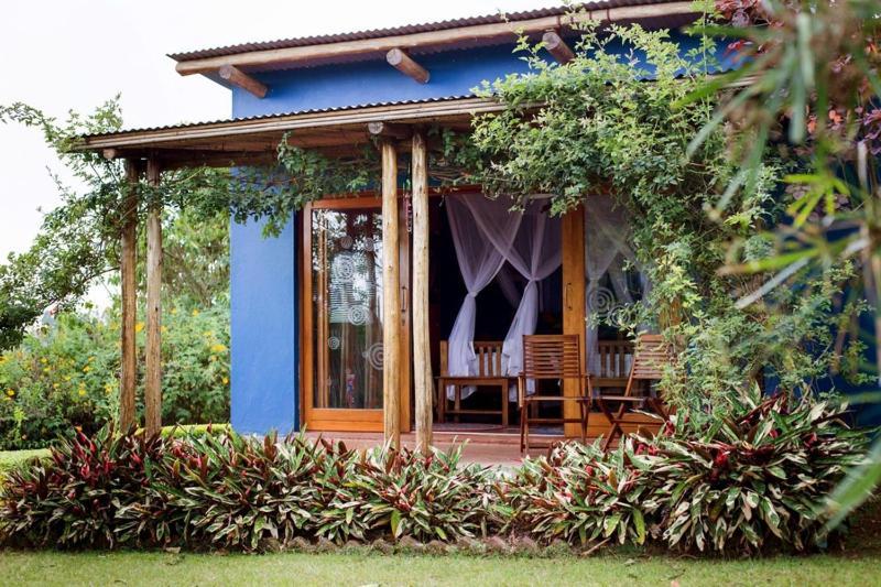 Chameleon Hill Forest Lodge Bwindi Impenetrable Park Exteriör bild