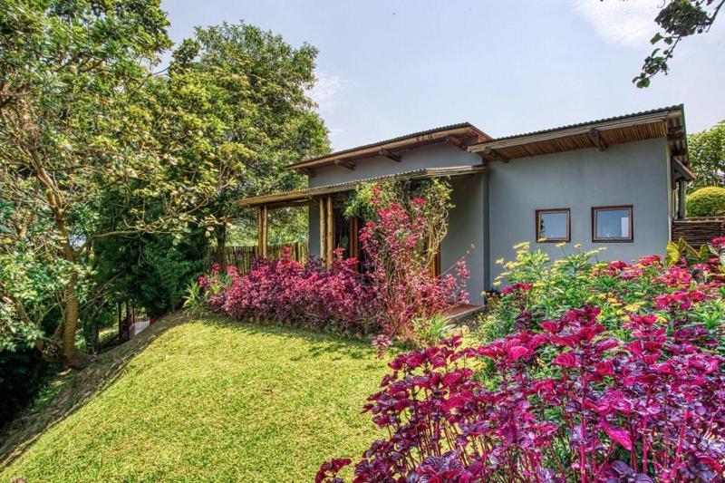 Chameleon Hill Forest Lodge Bwindi Impenetrable Park Exteriör bild