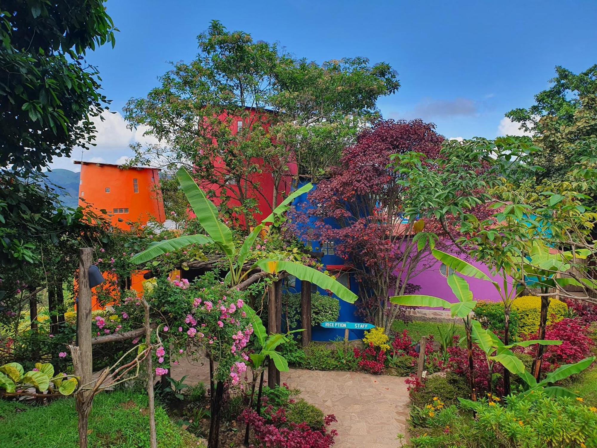 Chameleon Hill Forest Lodge Bwindi Impenetrable Park Exteriör bild